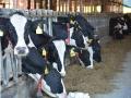 The Wisconsin Supreme Court issued a ruling this week that could affect farms. (DTN file photo by Chris Clayton)