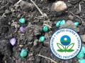 The EPA this week launched an advanced notice of rulemaking on possible regulation of pesticide-treated seed. (DTN file photo by Pam Smith)
