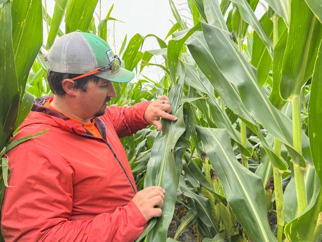 Farmers Talk Crop Health, Harvest and Profitability