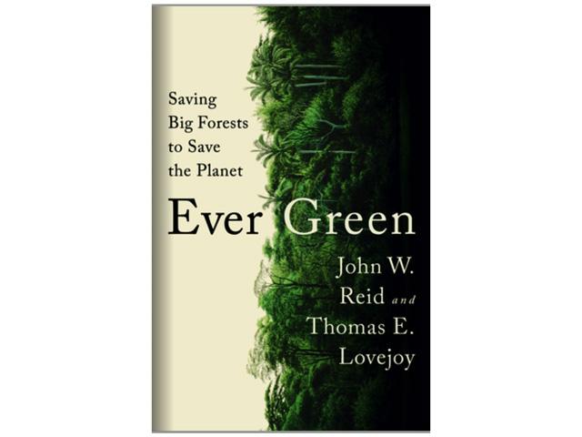One of the easiest ways to slow climate change and protect biodiversity is to not build roads through large intact forests, a new book argues.