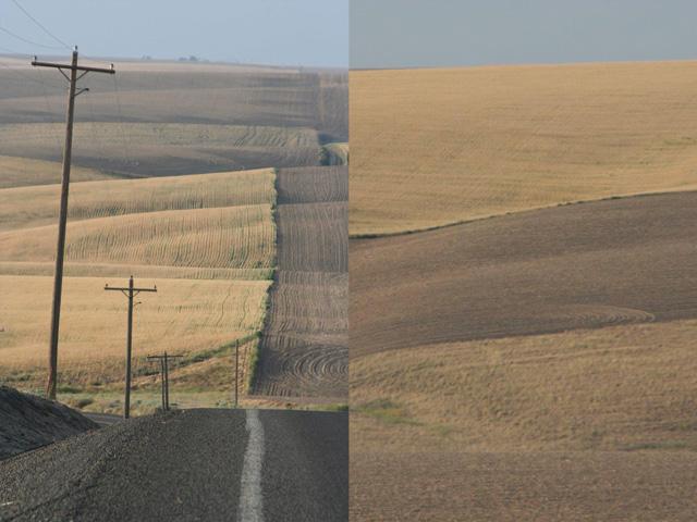 "Most beautiful" is a subjective judgment, but a drive from Walla Walla to Spokane in Washington on back roads makes a strong case for the Palouse as the most spectacular agricultural panorama. (DTN/Progressive Farmer photos by Elaine Shein)