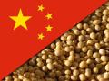 Along with stock markets, soybean futures on Monday immediately responded to positive news of a pause in tariffs between the U.S. and China. The U.S. and China agreed to a 90-day reprieve in tariffs to open up for broader trade talks between the two countries. (DTN image with photo by Jim Patrico)
