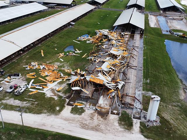 Florida Dairy continua operando após danos causados ​​pelo furacão Helene
. #hotnews.pt