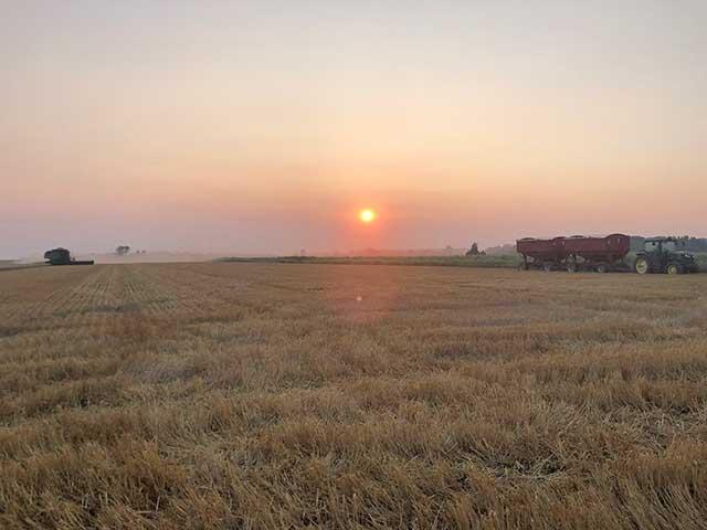 Managing risk is part of our life on the farm. That includes when, unexpectedly, soybeans gain almost 50 cents in two trading sessions. (DTN photo by Philip Shaw)