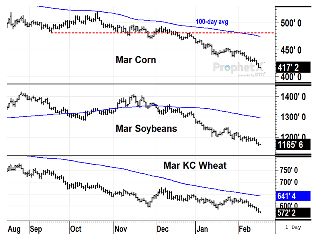 As of Thursday, Feb. 15, March corn prices are on track for their ninth lower weekly close in ten weeks. March soybeans are headed for their fourteenth lower close in 15 weeks. March KC wheat prices haven&#039;t had three consecutive higher weekly closes since July. In early 2024, specs continue to be rewarded for holding large short positions (DTN ProphetX chart by Todd Hultman).  