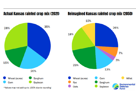 Environmental Defense Fund (EDF) research calls for cutbacks in corn, soybean and wheat production along with adding millet, oats and rye to the Kansas crop mix due to warmer and drier conditions brought on by climate change. (EDF graphic) 