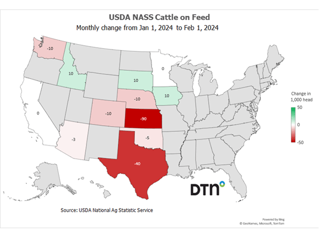 Monthly change in cattle on feed numbers by state from Jan. 1, 2024, to Feb. 1, 2024. (DTN chart)