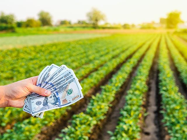 Ag reality television star Steven A. McBee&#039;s farm has defaulted on a $1.3 million farm loan with Rabo Agrifinance. (Photo by Getty Images)