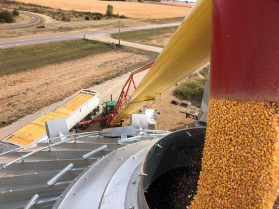Gallatin, Missouri-based McBee Farms sold a large grain storage facility as the farm&#039;s owner Steve A. McBee prepares for sentencing on crop insurance fraud. (DTN file photo)