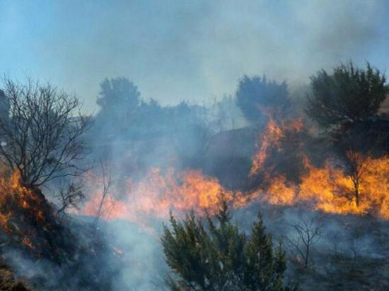 Wildfires spread quickly in the High Plains early this week as high winds, hot weather, dryness and low humidity combined to create dangerous wildfire conditions. (DTN file photo)