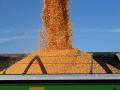 The state of Nebraska suspended the grain dealer license for Hansen-Mueller Co. after 38 farmers reported they were not paid by the company for delivering grain. (DTN file photo)