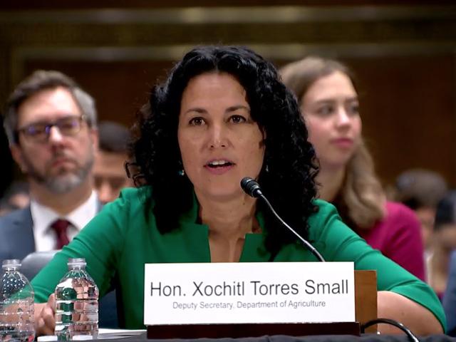 USDA Deputy Secretary Xochitl Torres Small testifying Wednesday in the U.S. Senate on disaster issues and aid. Several GOP senators quizzed Torres Small about farm income and highlighted financial disasters facing producers because of market conditions even if they haven&#039;t been hit by a natural disaster. (Photo from hearing livestream)