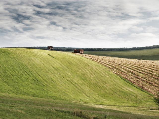 Ukraine's farmers will begin to harvest their winter wheat crop in June, but there is uncertainty on whether the country will be able to export grain out of the country. (File photo by Kavardakova)