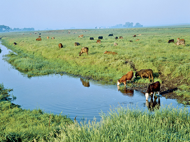 Navigable Waters Protection Rule Took Effect on Monday - DTN The Progressive Farmer