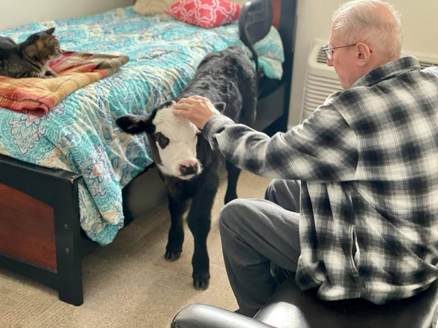 Spuds charmed residents of The Lighthouse when he came in to get warm during the cold Kansas winter. (Photo courtesy of Valley Vet Supply)