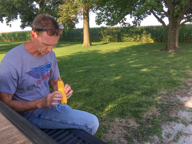 Illinois farmer Jeff Brown pulls a yield sample on a field near Boody, Illinois. His area has been blessed with rainfall this year. (DTN photo by Pamela Smith)