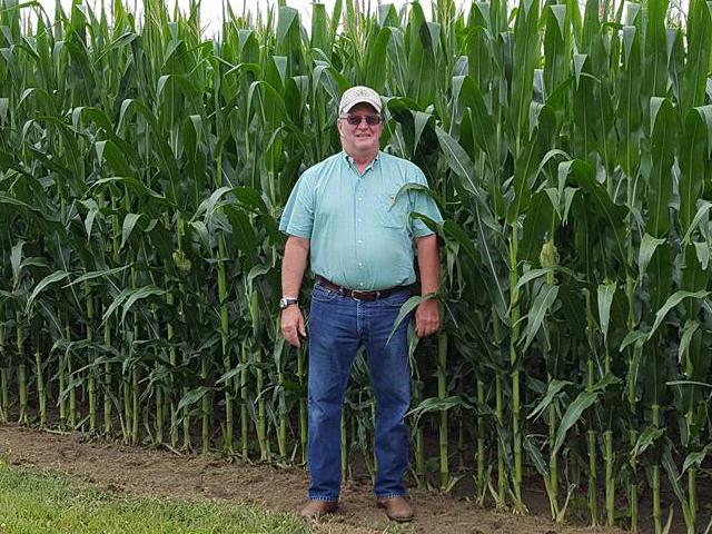 My late uncle, Jim Quinn, standing in his Iowa cornfield. (Photo courtesy of Quinn family)