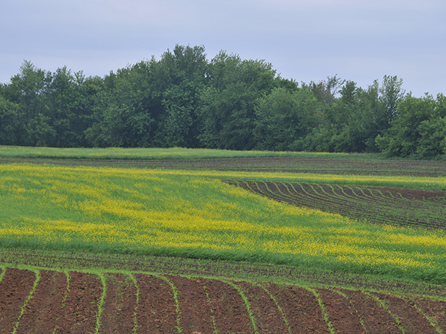 Although the Build Back Better Act remains stalled in Congress, the top Republican on the House Agriculture Committee on Wednesday questioned whether USDA would be capable of managing a much-larger conservation program if the act became law. (DTN file photo)