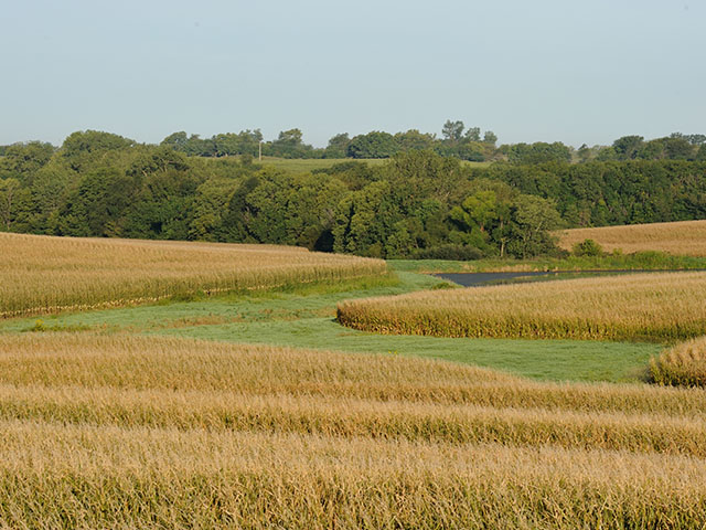 A plan being proposed by a group of Democratic senators would tax unrealized capital gains at death. That would eliminate the stepped-up basis that heirs receive when they inherit farmland. (DTN file photo) 

