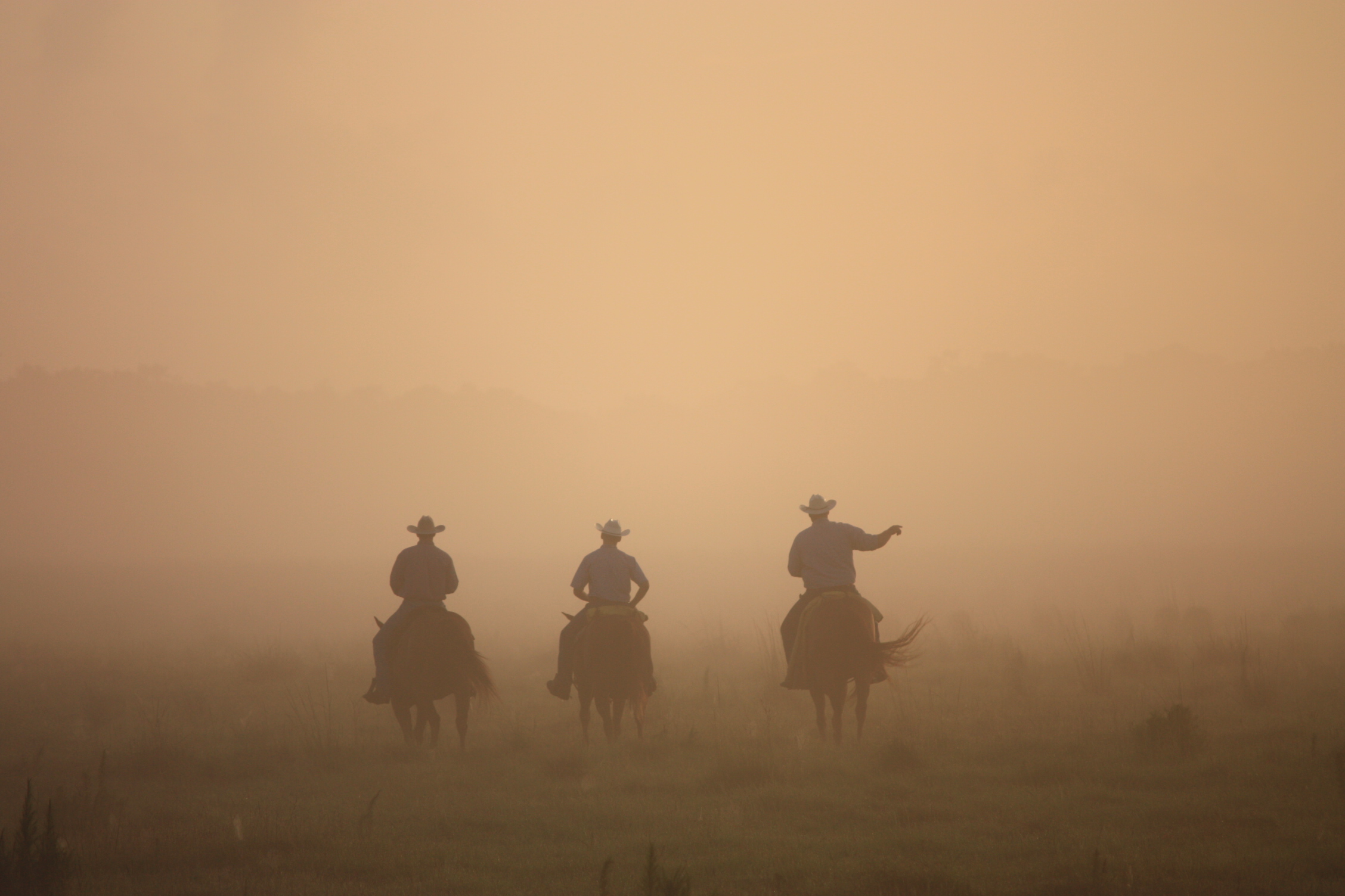 Cattlemen may tremor in their boots and feel beaten and exhausted from this year&#039;s happenings. Nevertheless, they continue to suppress the urge to wave their white flags and instead look to 2021 with a grim stare and a no-nonsense type of attitude. (Photo by David Wright)