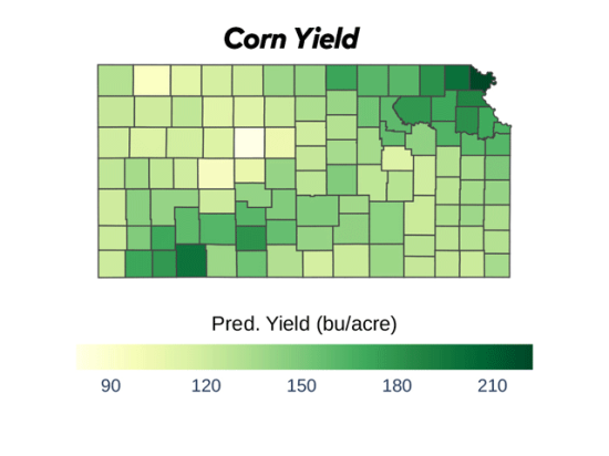 Doniphan County in northeast Kansas is projected to have the state&#039;s highest county average for corn at 223.3 bushels per acre, helping to contribute to a statewide average yield that well exceeds the RMA five-year average. (DTN map by Scott Williams)