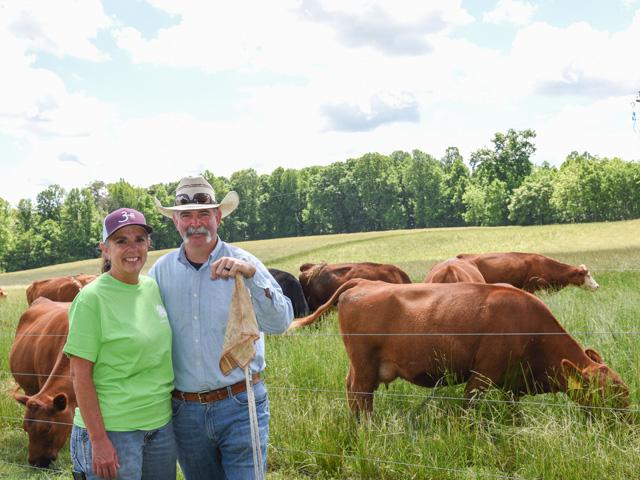 How to Finish Cattle for High-Quality Beef