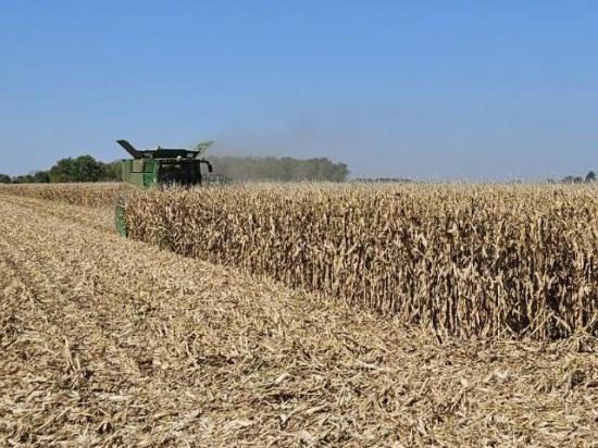 In north-central Missouri, Kyle Samp began harvesting corn during the third week of September, a task that continued the last Friday of the month. (Photo courtesy of Kyle Samp)