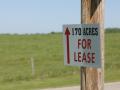 Farmers and landlords in some states face a Sept. 1 deadline to terminate leases and renegotiate terms for next year. In some cases, farmers are having tough conversations with both their landlords and lenders about what the 2027 crop year and rental costs could look like. (DTN file photo by Jim Patrico) 