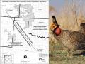 The latest effort to provide Endangered Species Act protections for the lesser prairie chicken defines two distinct populations of the bird. The southern population in a few west Texas and eastern New Mexico counties would be endangered, while the northern population stretching up into western Kansas would be listed as threatened. Once again, the listing faces court battles. (DTN image from US Fish and Wildlife Service map and photo)