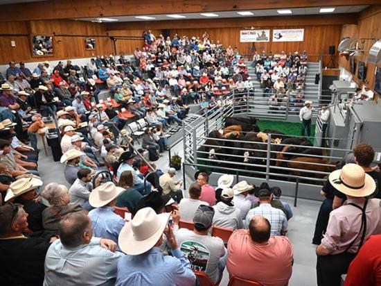 The stands were packed at the Dunlap Livestock Auction in Dunlap, Iowa, for the 2025 World Livestock Auctioneer Championship. (DTN/Progressive Farmer photo by Jennifer Carrico)
