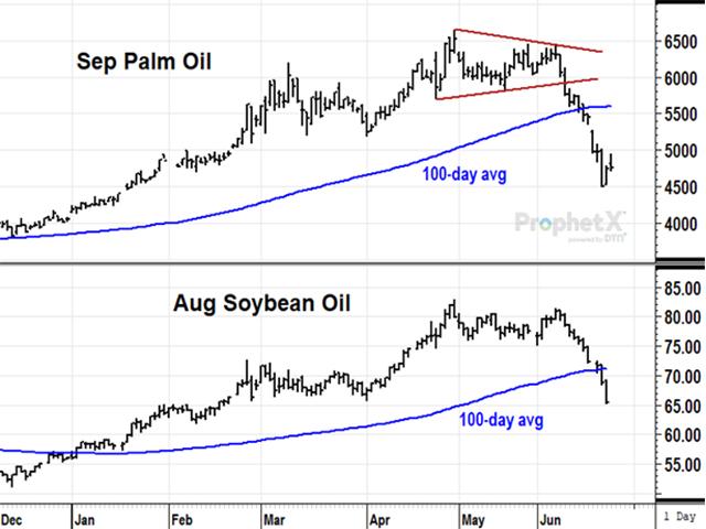 As of Thursday, June 23, September palm oil is down 22% in the month of June, pressured by the anticipation of increased palm oil exports in 2022-23. The drop in palm oil has been one of several bearish influences in this week&#039;s grain markets. (DTN ProphetX chart by Todd Hultman) 
