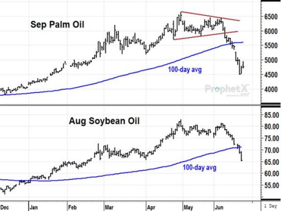 As of Thursday, June 23, September palm oil is down 22% in the month of June, pressured by the anticipation of increased palm oil exports in 2022-23. The drop in palm oil has been one of several bearish influences in this week&#039;s grain markets. (DTN ProphetX chart by Todd Hultman) 