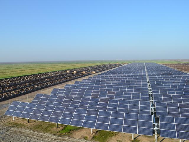 Solar power operating on a California dairy farm. The annual United Nations climate conference kicks off later this week in United Arab Emirates. This year's leader of the conference, Sultan Ahmed Al-Jaber, has drawn criticism because he also leads the UAE's national oil company. (Photo courtesy of SPG Solar) 