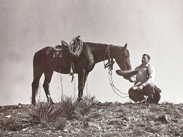It&#039;s in trying times like these that we rely on historical habits and basic principles like supply and demand, seasonal trends and import/export statistics to draw some conclusions. (Photo courtesy of Charles Belden owner of the Pitchfork Ranch, Meeteetse, Wyoming, from the 1930s)