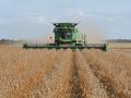 Mark Fincher harvests soybeans in mid-October near Dyess, Arkansas. Commodity analysts expect soybean prices to remain over $10 per bushel in the coming year, which would be profitable for most growers. (DTN photo by Matthew Wilde)