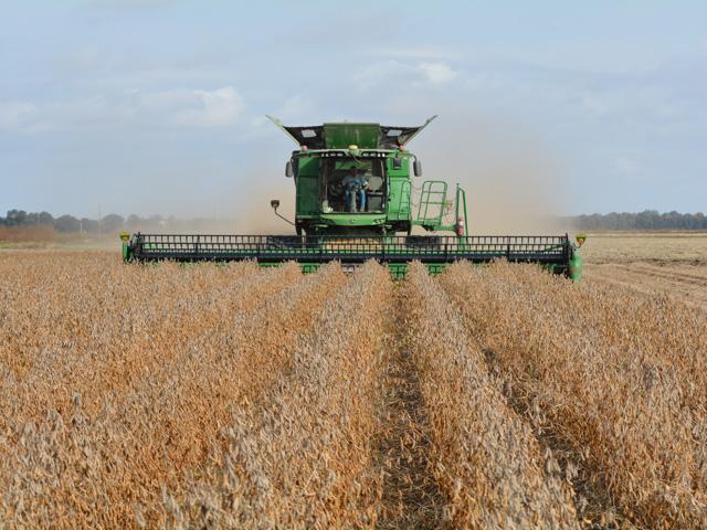U.S. soybean farmers remain dangerously overdependent on a single foreign market, China, and that will be true even if the president returns from his summit in Beijing with good news on soybean sales. (DTN/Progressive Farmer file photo)