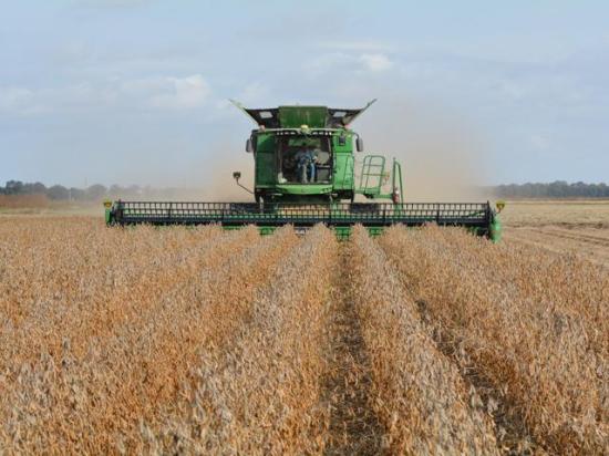 U.S. soybean farmers remain dangerously overdependent on a single foreign market, China, and that will be true even if the president returns from his summit in Beijing with good news on soybean sales. (DTN/Progressive Farmer file photo)