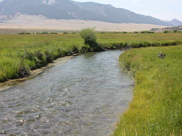 Rupert Murdoch and his wife purchased the 345,000-acre Beaverhead Ranch in southwest Montana. (Photo courtesy Matador Cattle Co.)