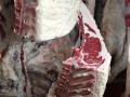 Beef will be sent from the U.S. to Australia for the first time in 20 years following negotiations between the two countries. (DTN photo by Jennifer Carrico)