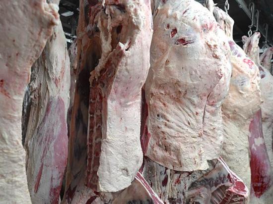 Tyson announced the closure of its Lexington, Nebraska, plant and cutback at its Amarillo, Texas, plant by January 2026. (DTN photo by Jennifer Carrico)