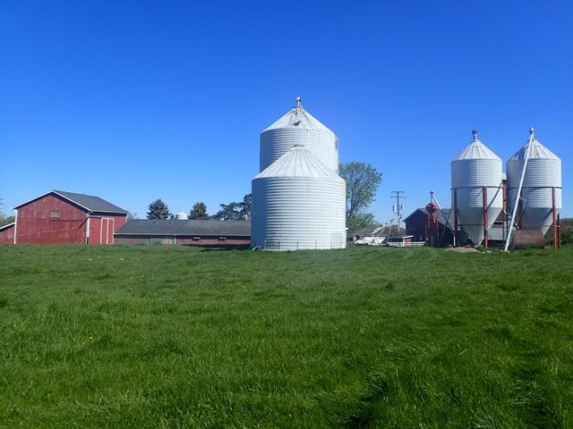A sheep farm in Michigan that was protected under an easement project. Legacy Land Conservancy in Michigan had expected to receive a USDA Regional Conservation Partnership Program (RCPP) grant to sign other conservation easements for farms, but USDA rescinded more than $1 billion in such grants last month. (Photo courtesy of the Legacy Land Conservancy in Michigan)