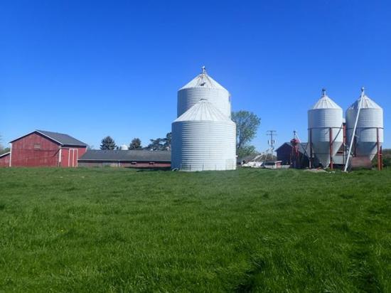 A sheep farm in Michigan that was protected under an easement project. Legacy Land Conservancy in Michigan had expected to receive a USDA Regional Conservation Partnership Program (RCPP) grant to sign other conservation easements for farms, but USDA rescinded more than $1 billion in such grants last month. (Photo courtesy of the Legacy Land Conservancy in Michigan)