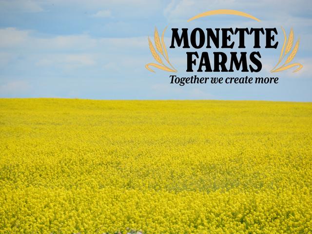 Farms owned and operated by Saskatchewan-based Monette Farms across Canada, Montana, Colorado and Arizona were all listed for sale on Monday as part of a court order to pay down the farm's debt. Monette had grown to become one of the largest farm operations in North America. (DTN photo by Chris Clayton, logo from Monette Farms)