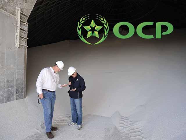 Diammonium phosphate (DAP) in a storage bin provides the fertilizer needed to support crop production throughout the growing season. USDA expects suspended duties on Moroccan phosphate fertilizer to help increase supply and reduce costs for farmers. (Courtesy photo)