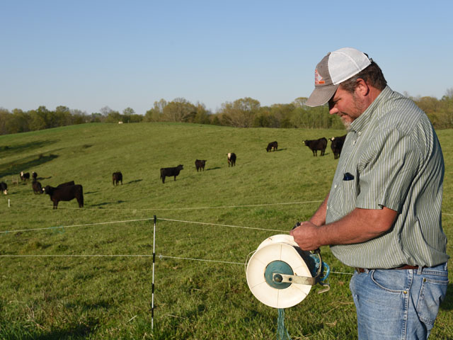 Roy Boldridge says some years his 120- to 130-head commercial herd can go almost the whole year on these Virginia pastures with good management and rotation. (DTN/Progressive Farmer photo by Becky Mills)