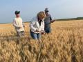 Crop scouts stand in a North Dakota wheat field on Tuesday during the Wheat Quality Council's 2026 Hard Spring Wheat and Durum Tour. (Photo courtesy of Anne Osborne, National Wheat Foundation)