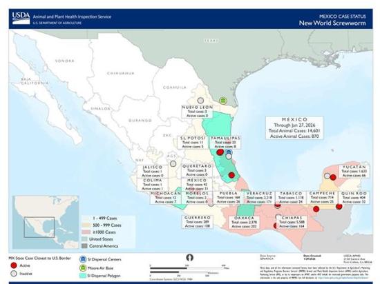 USDA's latest status map for New World screwworm (NWS) shows Mexico has 870 active cases involving animals as of Jan. 20, 2026, including eight active cases in the Mexican state of Tamaulipas, which borders Texas. Mexico also reports 24 people hospitalized due to infections. Texas Gov. Greg Abbott has issued a statewide disaster declaration to prepare for the risk that the fly crosses the border. (Map from USDA's Animal and Plant Health Inspection Service)