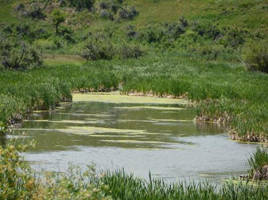 The U.S. Environmental Protection Agency is seeking public input on a supplemental proposal on the waters of the U.S. rule. (DTN file photo)