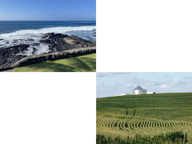 The strongest DTN analog years with a Pacific Ocean change from La Nina to a strong El Nino feature robust corn production. (DTN file photo and photo by Bryce Anderson)