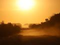 Hilly, dusty roads of home at harvest time are a reminder of close calls and why farm and rural road safety always needs to be top of mind. (DTN file photo by Elaine Shein)